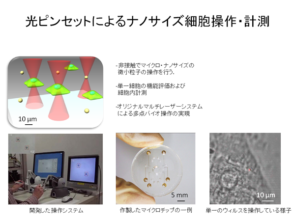 光ピンセットによるナノサイズ細胞操作・計測