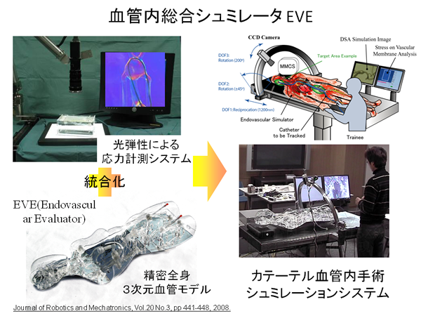血管内総合シュミレータ EVE