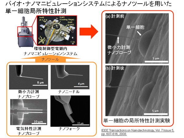 バイオ・ナノマニピュレーションシステムによるナノツールを用いた単一細胞局所特性計測