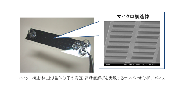 ナノバイオ分析デバイス