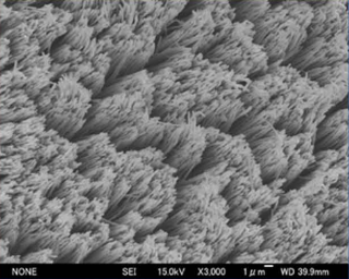 高密度金属ナノワイヤの観察写真
