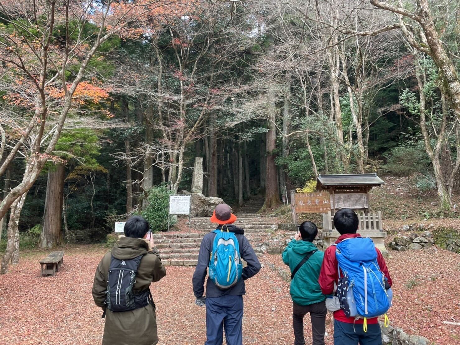 サンプルイメージ